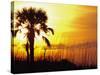 Sunset near Folley Beach, Charleston, South Carolina, USA-Julie Eggers-Stretched Canvas