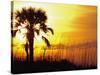 Sunset near Folley Beach, Charleston, South Carolina, USA-Julie Eggers-Stretched Canvas