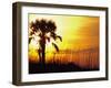 Sunset near Folley Beach, Charleston, South Carolina, USA-Julie Eggers-Framed Premium Photographic Print