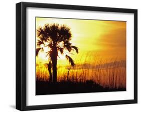 Sunset near Folley Beach, Charleston, South Carolina, USA-Julie Eggers-Framed Premium Photographic Print