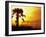 Sunset near Folley Beach, Charleston, South Carolina, USA-Julie Eggers-Framed Premium Photographic Print