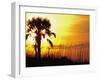 Sunset near Folley Beach, Charleston, South Carolina, USA-Julie Eggers-Framed Premium Photographic Print