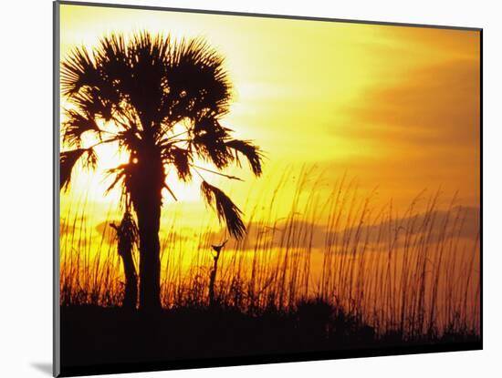 Sunset near Folley Beach, Charleston, South Carolina, USA-Julie Eggers-Mounted Premium Photographic Print