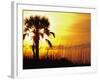 Sunset near Folley Beach, Charleston, South Carolina, USA-Julie Eggers-Framed Photographic Print