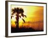 Sunset near Folley Beach, Charleston, South Carolina, USA-Julie Eggers-Framed Photographic Print