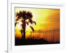 Sunset near Folley Beach, Charleston, South Carolina, USA-Julie Eggers-Framed Photographic Print