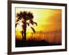 Sunset near Folley Beach, Charleston, South Carolina, USA-Julie Eggers-Framed Photographic Print