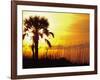 Sunset near Folley Beach, Charleston, South Carolina, USA-Julie Eggers-Framed Photographic Print