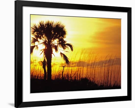 Sunset near Folley Beach, Charleston, South Carolina, USA-Julie Eggers-Framed Photographic Print