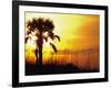 Sunset near Folley Beach, Charleston, South Carolina, USA-Julie Eggers-Framed Photographic Print