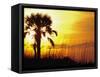 Sunset near Folley Beach, Charleston, South Carolina, USA-Julie Eggers-Framed Stretched Canvas