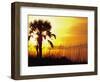 Sunset near Folley Beach, Charleston, South Carolina, USA-Julie Eggers-Framed Photographic Print