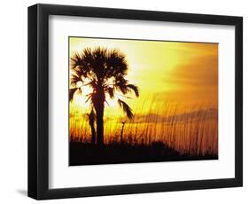 Sunset near Folley Beach, Charleston, South Carolina, USA-Julie Eggers-Framed Photographic Print