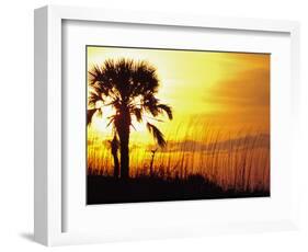 Sunset near Folley Beach, Charleston, South Carolina, USA-Julie Eggers-Framed Photographic Print