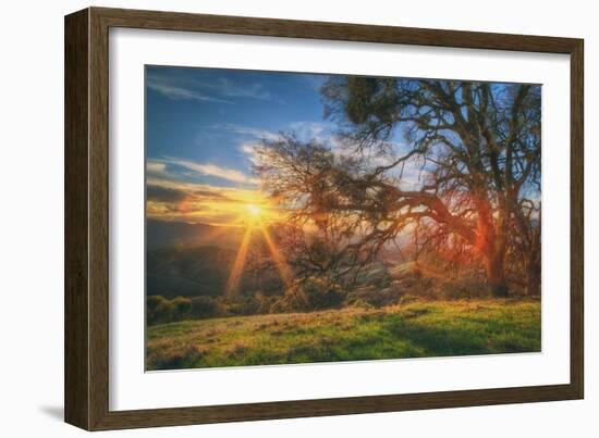 Sunset Oak, Mount Diablo State Park, Northern California-Vincent James-Framed Photographic Print