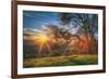 Sunset Oak, Mount Diablo State Park, Northern California-Vincent James-Framed Photographic Print