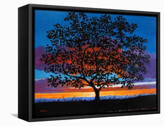 Sunset Oak-Patty Baker-Framed Stretched Canvas