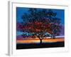 Sunset Oak-Patty Baker-Framed Art Print