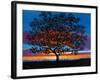 Sunset Oak-Patty Baker-Framed Art Print