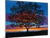 Sunset Oak-Patty Baker-Mounted Art Print