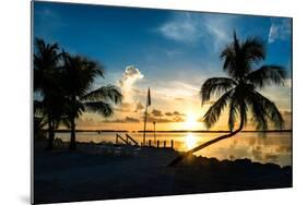 Sunset of Dreams - Florida - USA-Philippe Hugonnard-Mounted Photographic Print
