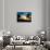 Sunset of Dreams - Florida - USA-Philippe Hugonnard-Framed Stretched Canvas displayed on a wall