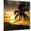 Sunset of Dreams - Florida - USA-Philippe Hugonnard-Mounted Premium Photographic Print