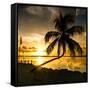 Sunset of Dreams - Florida - USA-Philippe Hugonnard-Framed Stretched Canvas