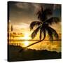 Sunset of Dreams - Florida - USA-Philippe Hugonnard-Stretched Canvas