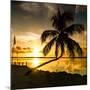 Sunset of Dreams - Florida - USA-Philippe Hugonnard-Mounted Photographic Print