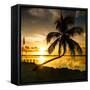 Sunset of Dreams - Florida - USA-Philippe Hugonnard-Framed Stretched Canvas