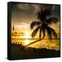 Sunset of Dreams - Florida - USA-Philippe Hugonnard-Framed Stretched Canvas