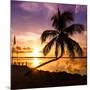 Sunset of Dreams - Florida - USA-Philippe Hugonnard-Mounted Photographic Print