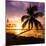 Sunset of Dreams - Florida - USA-Philippe Hugonnard-Mounted Photographic Print