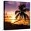 Sunset of Dreams - Florida - USA-Philippe Hugonnard-Stretched Canvas