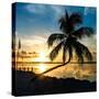 Sunset of Dreams - Florida - USA-Philippe Hugonnard-Stretched Canvas