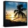 Sunset of Dreams - Florida - USA-Philippe Hugonnard-Framed Stretched Canvas