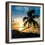 Sunset of Dreams - Florida - USA-Philippe Hugonnard-Framed Photographic Print