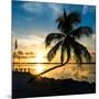 Sunset of Dreams - Florida - USA-Philippe Hugonnard-Mounted Premium Photographic Print