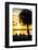 Sunset of Dreams - Florida-Philippe Hugonnard-Framed Photographic Print