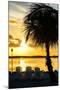 Sunset of Dreams - Florida-Philippe Hugonnard-Mounted Premium Photographic Print