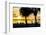 Sunset of Dreams - Florida-Philippe Hugonnard-Framed Photographic Print