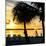 Sunset of Dreams - Florida-Philippe Hugonnard-Mounted Photographic Print