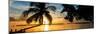 Sunset of Dreams - Florida-Philippe Hugonnard-Mounted Photographic Print