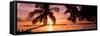 Sunset of Dreams - Florida-Philippe Hugonnard-Framed Stretched Canvas