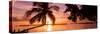 Sunset of Dreams - Florida-Philippe Hugonnard-Stretched Canvas