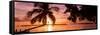 Sunset of Dreams - Florida-Philippe Hugonnard-Framed Stretched Canvas