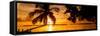 Sunset of Dreams - Florida-Philippe Hugonnard-Framed Stretched Canvas