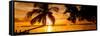 Sunset of Dreams - Florida-Philippe Hugonnard-Framed Stretched Canvas