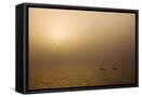 Canvas Black